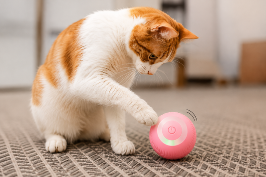 Juguete inteligente para gato