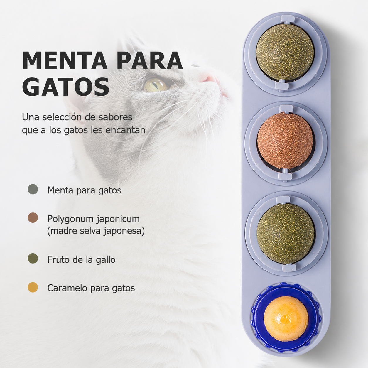 Yerba Gatera 3 en 1