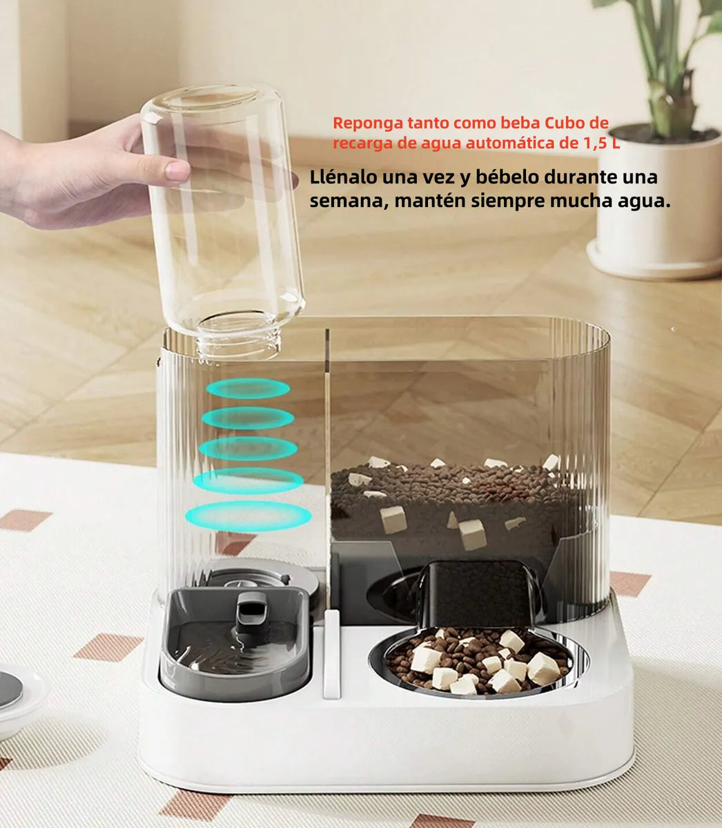 Plato dispensador Doble